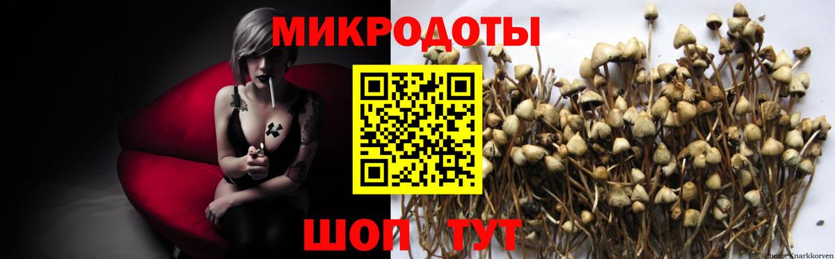 Псилоцибиновые грибы GOLDEN TEACHER Тейково