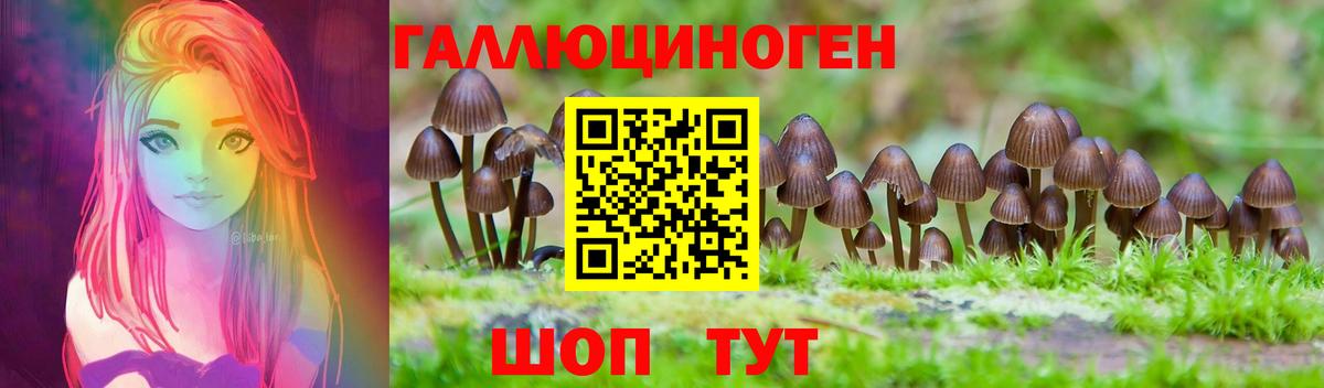 Тейково  Галлюциногенные грибы прущие грибы  закладка  Галлюциногенные грибы прущие грибы  Вход с VPN 